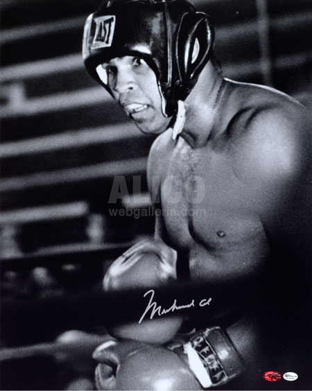 Muhammad Ali Autographed 16 x 20